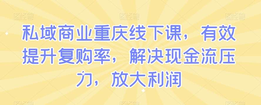 私域商业重庆线下课，有效提升复购率，解决现金流压力，放大利润-三石资源库