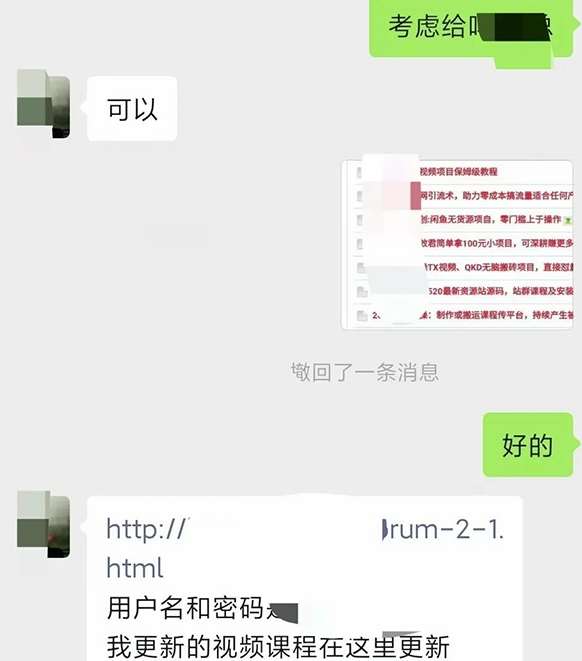 图片[2]-小彬网虚拟资源网站培训课程，如何一个月快速做出盈利的资源网站（实打实经验）-三石资源库