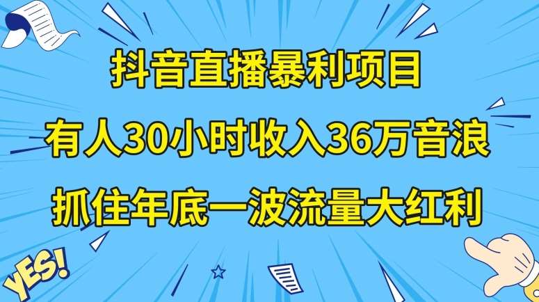 抖音直播暴利项目，有人30小时收入36万音浪，公司宣传片年会视频制作，抓住年底一波流量大红利【揭秘】-三石资源库