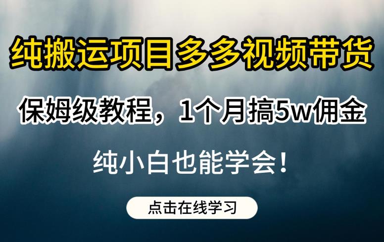 纯搬运项目多多视频带货保姆级教程，1个月搞5w佣金，纯小白也能学会【揭秘】-三石资源库