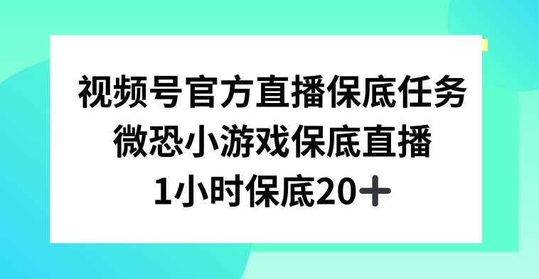 视频号直播任务，微恐小游戏，1小时20+【揭秘】-三石资源库