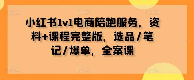 小红书1v1电商陪跑服务，资料+课程完整版，选品/笔记/爆单，全案课-三石淘金网