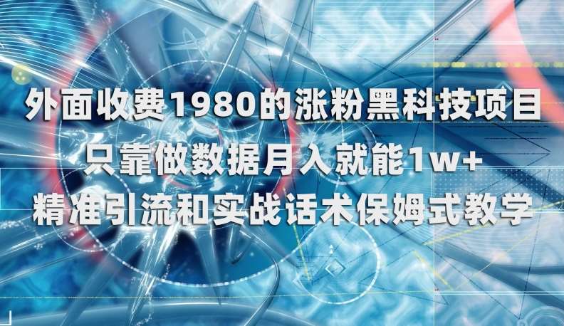 外面收费1980的涨粉黑科技项目，只靠做数据月入就能1w+【揭秘】-三石资源库