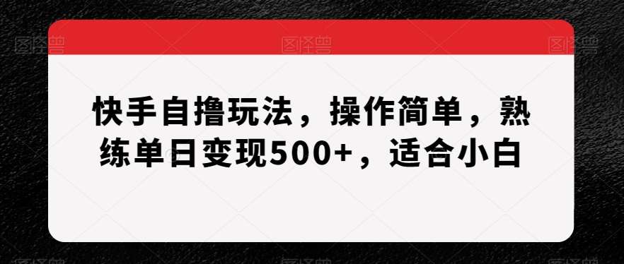 快手自撸玩法，操作简单，熟练单日变现500+，适合小白【揭秘】-三石资源库