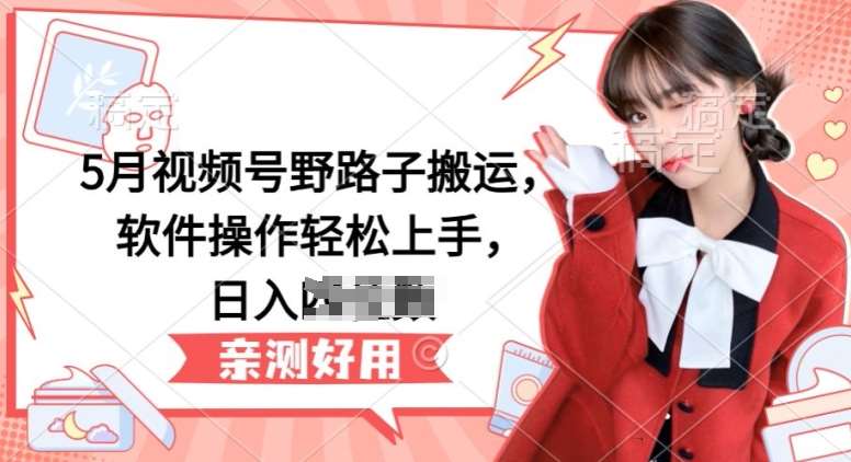 5月视频号野路子搬运，软件操作轻松上手，日入三位数【揭秘】-三石淘金网