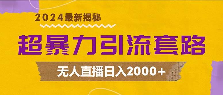 （12800期）超暴力引流套路，无人直播日入2000+-三石资源库