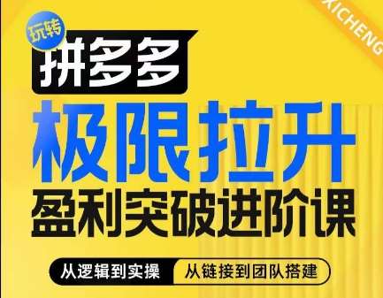 拼多多极限拉升盈利突破进阶课,从算法到玩法,从玩法到团队搭建,体系化系统性帮助商家实现利润提升-三石资源库