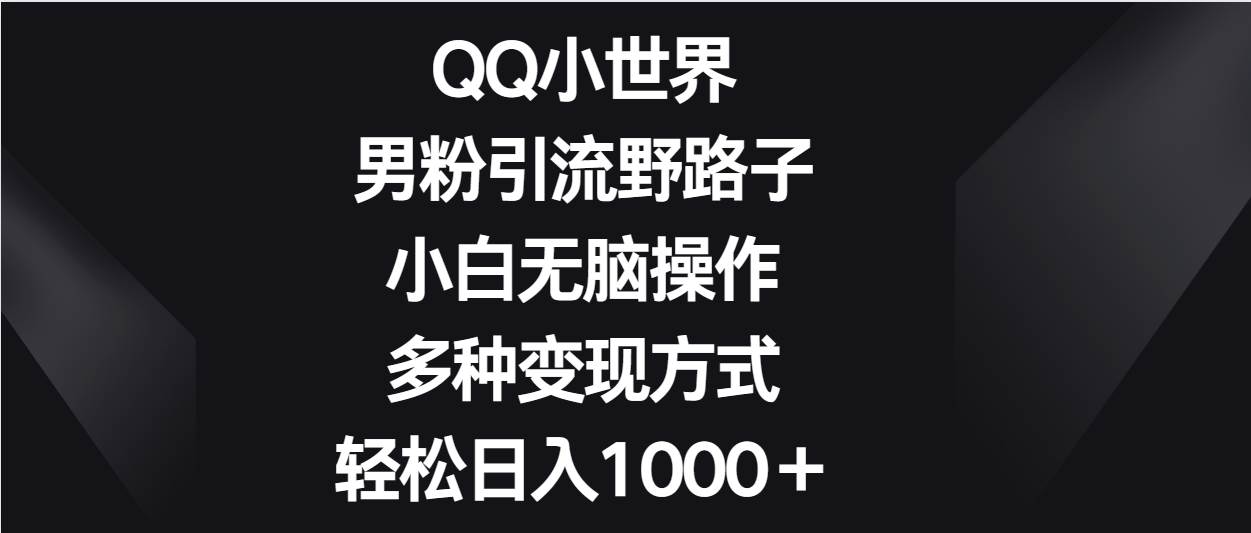 QQ小世界男粉引流野路子，小白无脑操作，多种变现方式轻松日入1000＋-三石资源库