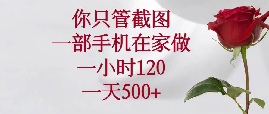 （14248期）你只管截图，一部手机在家做，一小时120，一天500+-三石资源库