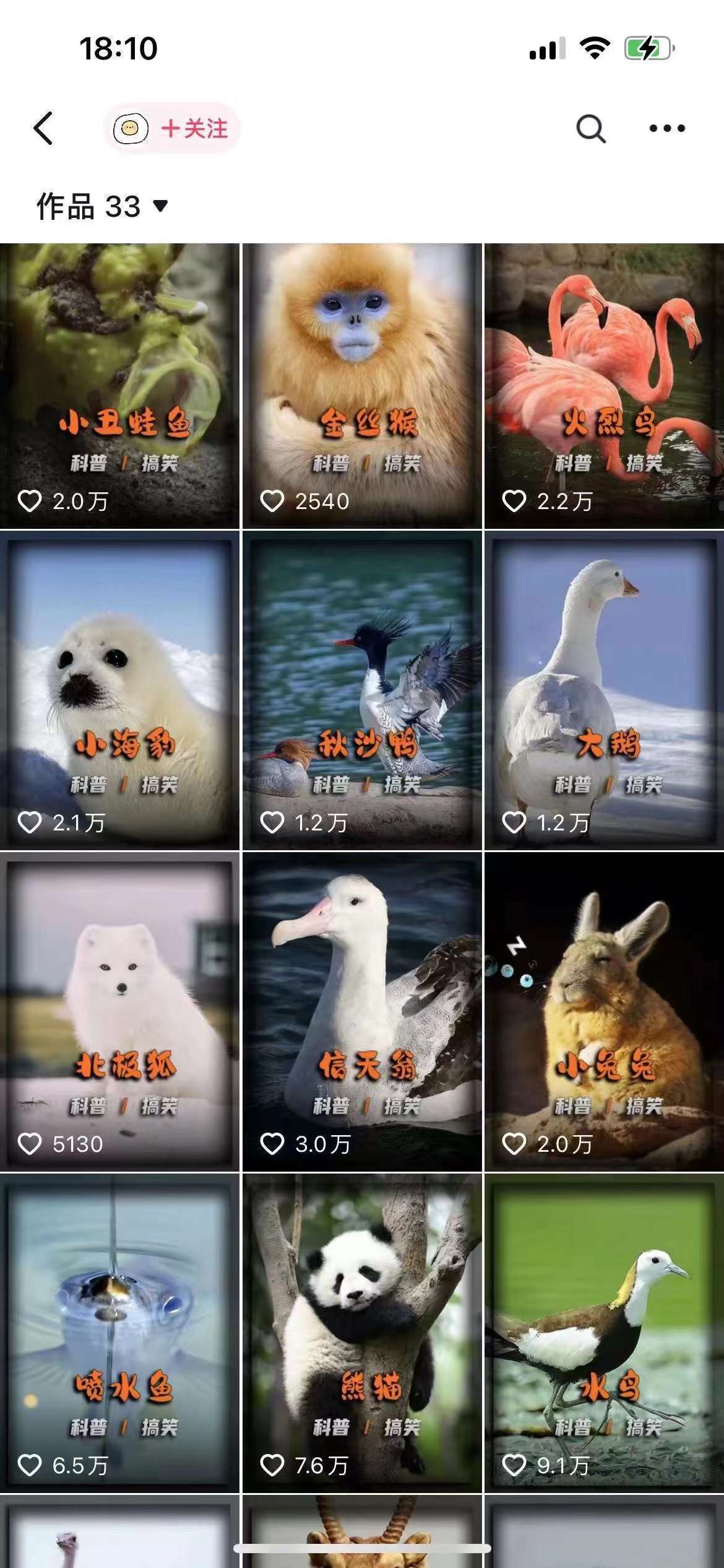 图片[2]-动物科普解说项目，撸创作者伙伴计划收益，保姆级实战教程-三石资源库