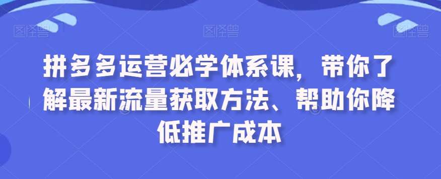 拼多多运营必学体系课，带你了解最新流量获取方法、帮助你降低推广成本-三石资源库
