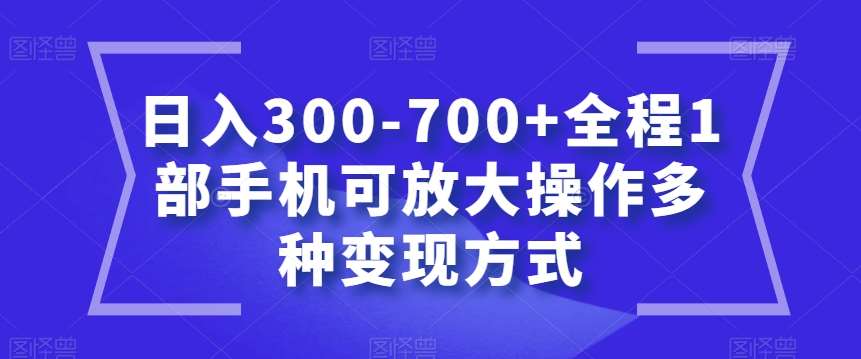日入300-700+全程1部手机可放大操作多种变现方式【揭秘】-三石资源库