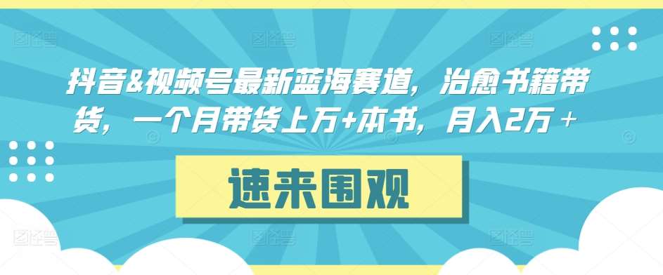抖音&视频号最新蓝海赛道，治愈书籍带货，一个月带货上万+本书，月入2万＋【揭秘】-三石资源库