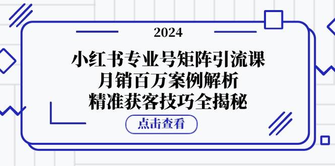 小红书专业号矩阵引流课，月销百万案例解析，精准获客技巧全揭秘-三石资源库