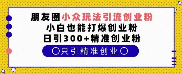 朋友圈小众玩法引流创业粉，小白也能打爆创业粉，日引300+精准创业粉【揭秘】-三石资源库
