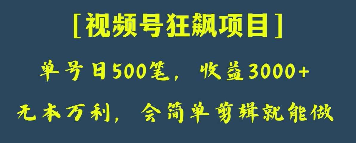 日收款500笔，纯利润3000+，视频号狂飙项目，会简单剪辑就能做【揭秘】-三石资源库