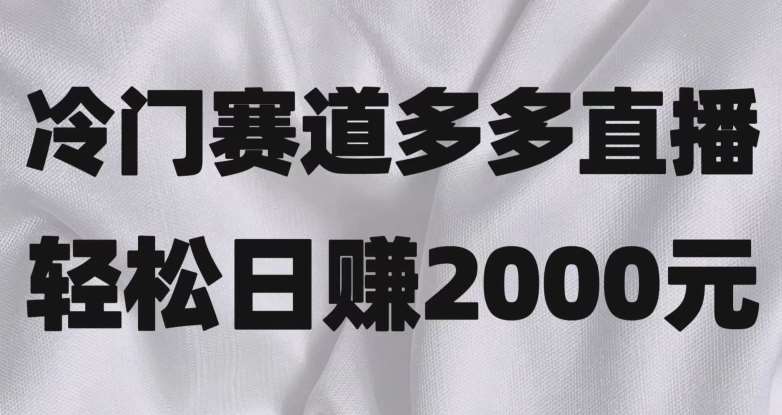 冷门赛道拼多多直播，简单念稿子，日收益2000＋【揭秘】-三石资源库