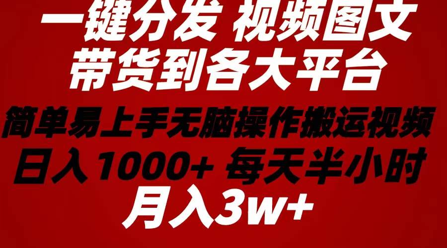 （10667期）2024年 一键分发带货图文视频  简单易上手 无脑赚收益 每天半小时日入1…-三石资源库