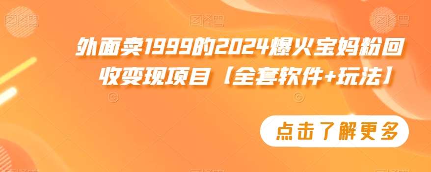 外面卖1999的2024爆火宝妈粉回收变现项目【全套软件+玩法】【揭秘】-三石资源库
