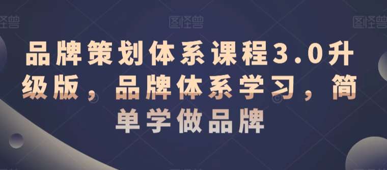 品牌策划体系课程3.0升级版，品牌体系学习，简单学做品牌-三石淘金网