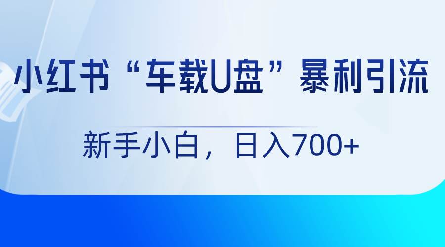 小红书“车载U盘”项目，暴利引流，新手小白轻松日入700+-三石淘金网