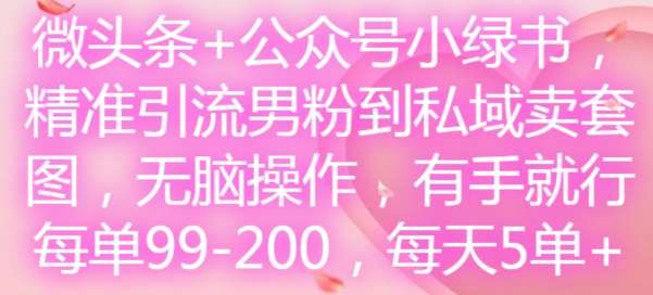 微头条+公众号小绿书,精准引流男粉到私域卖套图,无脑操作,有手就行,每单99-200,每天5单-三石资源库