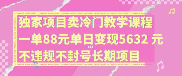 独家项目卖冷门教学课程一单88元单日变现5632元违规不封号长期项目【揭秘】-三石淘金网