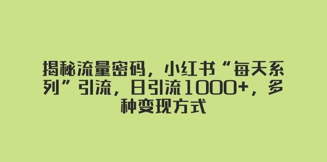 （8179期）揭秘流量密码，小红书“每天系列”引流，日引流1000+，多种变现方式-三石资源库