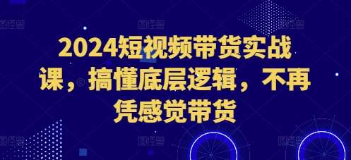 2024短视频带货实战课，搞懂底层逻辑，不再凭感觉带货-三石资源库