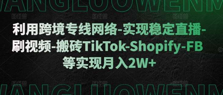 利用跨境专线网络-实现稳定直播-刷视频-搬砖TikTok-Shopify-FB等实现月入2W+【揭秘】-三石资源库