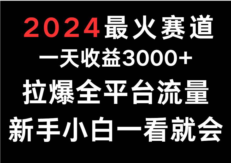 2024最火赛道，一天收一3000+.拉爆全平台流量，新手小白一看就会-三石淘金网