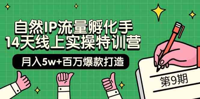自然IP流量孵化手14天线上实操特训营【第9期】月入5w+百万爆款打造 (74节)-三石淘金网
