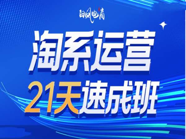 淘系运营21天速成班35期，年前最后一波和2025方向-三石资源库