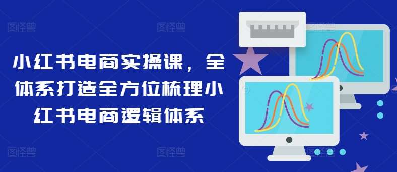 小红书电商实操课，全体系打造全方位梳理小红书电商逻辑体系-三石资源库