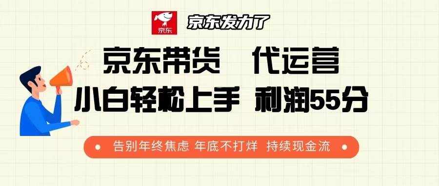 （13833期）京东带货 代运营 利润55分 告别年终焦虑 年底不打烊 持续现金流-三石资源库
