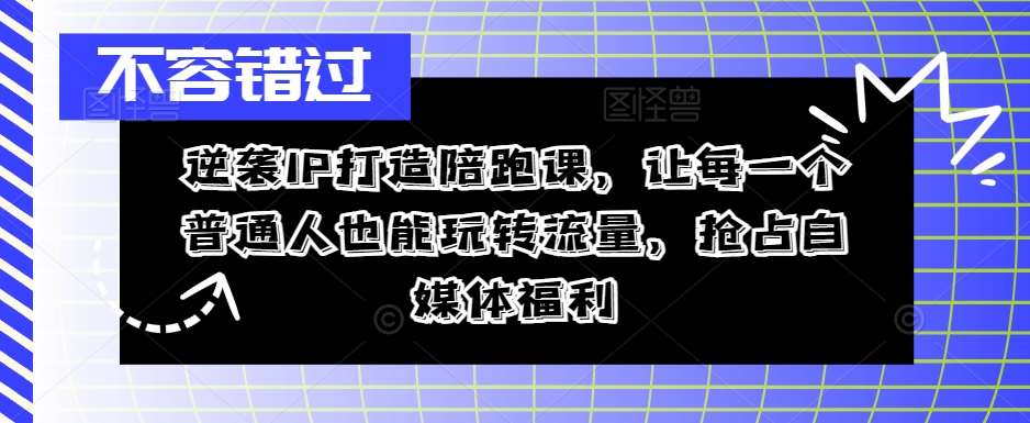 逆袭IP打造陪跑课，让每一个普通人也能玩转流量，抢占自媒体福利-三石资源库