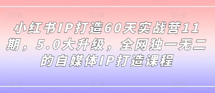 小红书IP打造60天实战营11期，5.0大升级，全网独一无二的自媒体IP打造课程-三石资源库