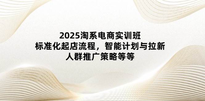 （14522期）2025淘系电商实训班：标准化起店流程，智能计划与拉新，人群推广策略等等-三石资源库
