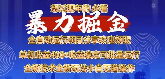 （13675期）2025暴力掘金项目，想过肥年必看！-三石资源库