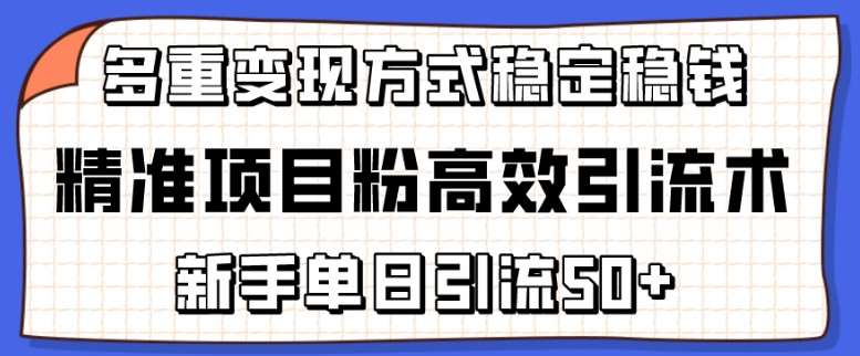 精准项目粉高效引流术，新手单日引流50+，多重变现方式稳定赚钱【揭秘】-三石资源库