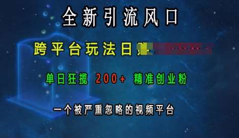 全新引流风口，跨平台玩法日入上k，单日狂揽200+精准创业粉，一个被严重忽略的视频平台-三石淘金网
