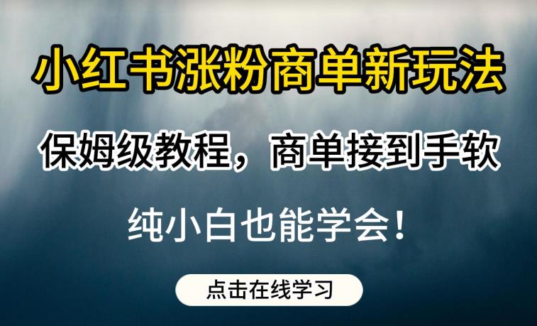 小红书涨粉商单新玩法,保姆级教程,商单接到手软,纯小白也能学会【揭秘】-三石资源库