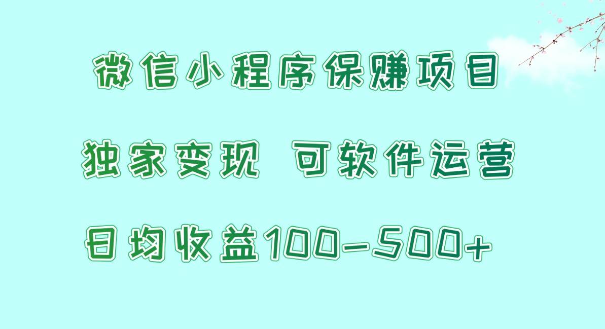 微信小程序保赚项目，日均收益100~500+，独家变现，可软件运营-三石资源库