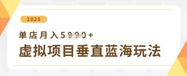 虚拟项目垂直玩法，实现单店月入5k+-三石资源库
