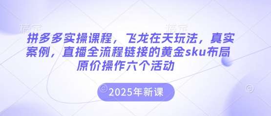 拼多多实操课程，飞龙在天玩法，真实案例，直播全流程链接的黄金sku布局原价操作六个活动-三石资源库