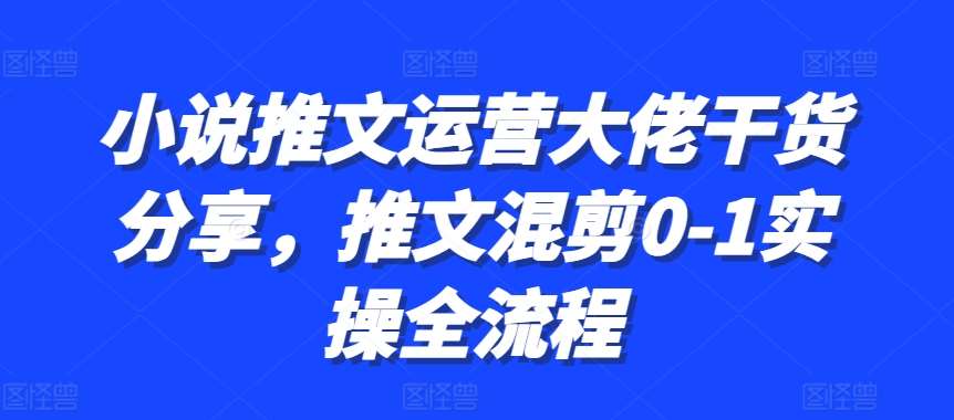 小说推文运营大佬干货分享，推文混剪0-1实操全流程-三石资源库
