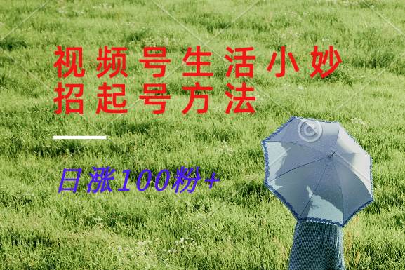 视频号生活小妙招分享赛道， 起号涨粉新方法，日涨100粉-三石淘金网