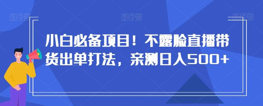 小白必备项目！不露脸直播带货出单打法，亲测日入500+【揭秘】-三石资源库