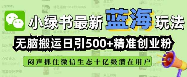 小绿书无脑搬运引流，全自动日引500精准创业粉，微信生态内又一个闷声发财的机会-三石资源库