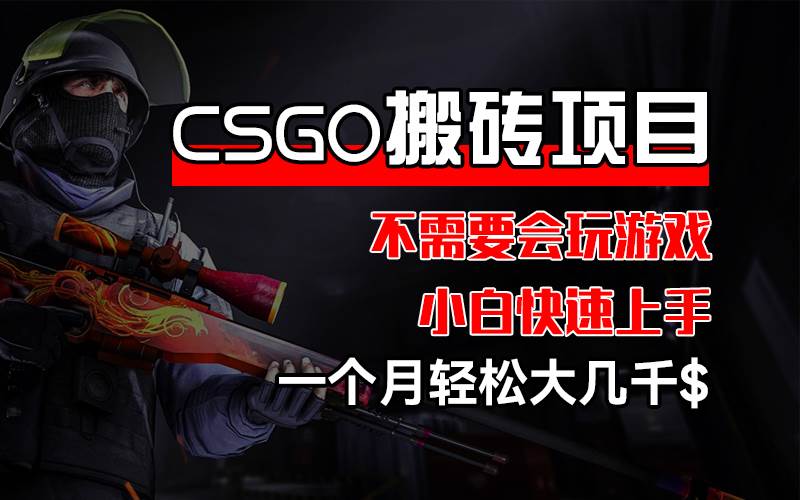 （12332期）CSGO 装备搬砖项目，操作简单，不需要会玩游戏，小白也能快速上手，一…-三石资源库